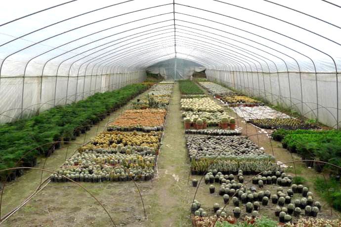 ����ֲ������c���鿴Ԕ����Ϣ