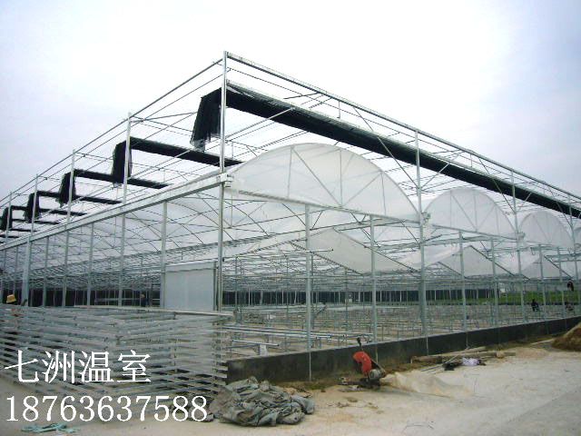 �B������ L-1�c���鿴Ԕ����Ϣ