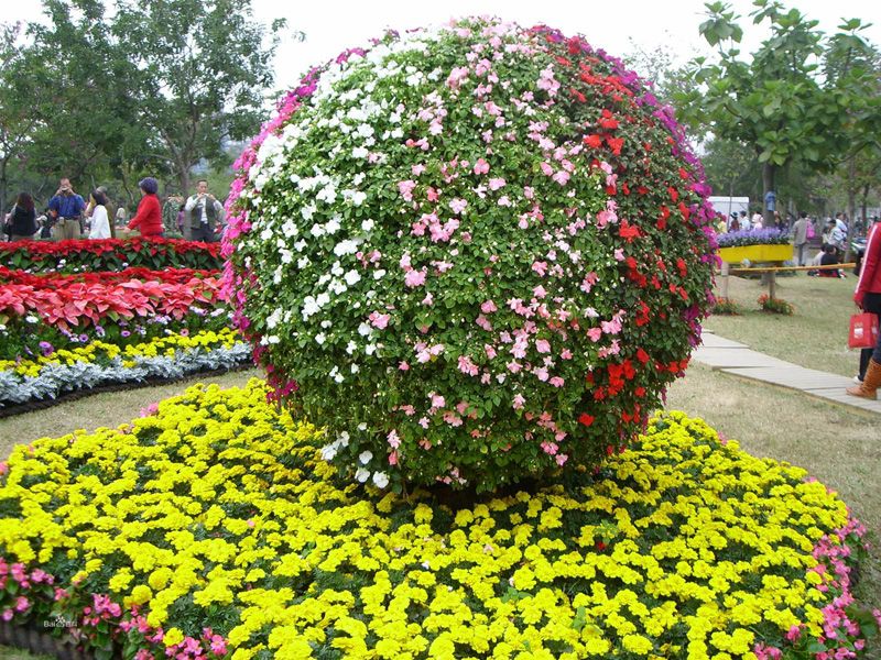 �߲ˈ@ˇ���^�c���鿴Ԕ����Ϣ