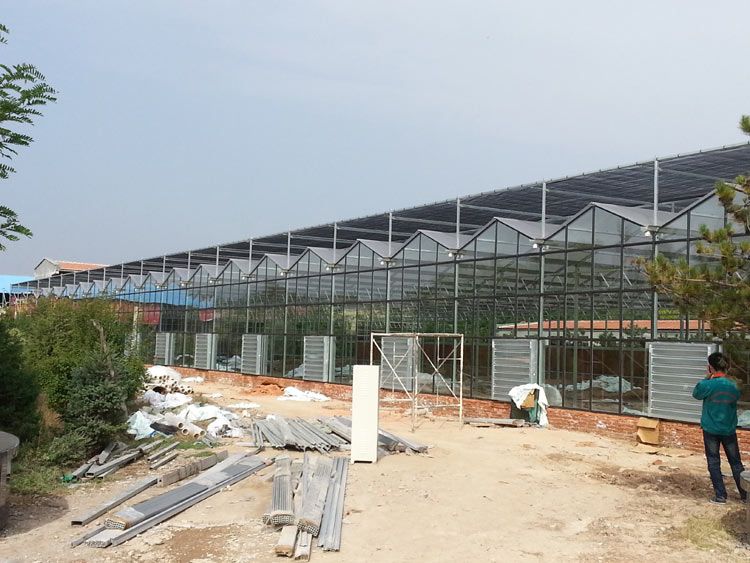 ���������c���鿴Ԕ����Ϣ