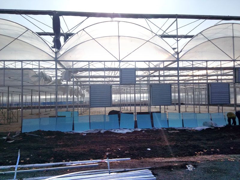 ���ɹŰ͏��נ��B���p������