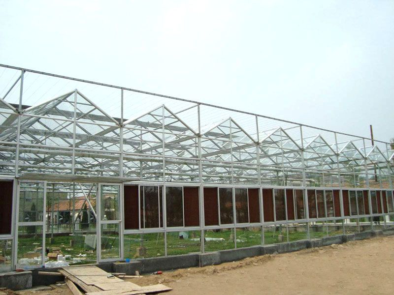 ���������c(di��n)���鿴Ԕ��(x��)��Ϣ