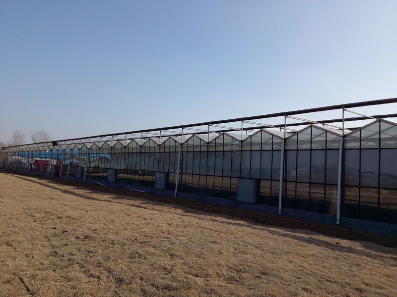 �������B�������c���鿴Ԕ����Ϣ