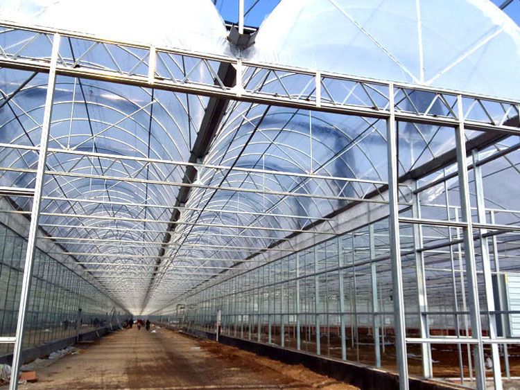 �p���pĤ�B�������c���鿴Ԕ����Ϣ