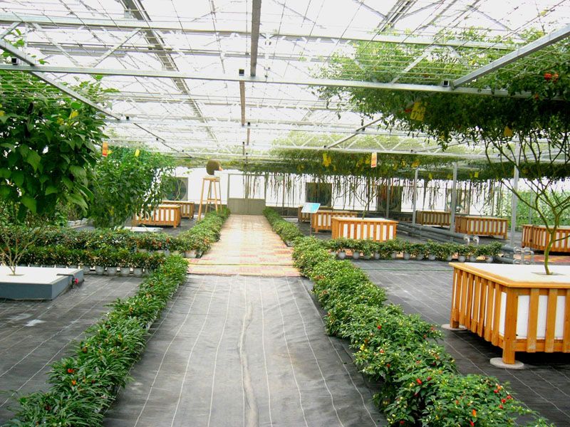 ���B�͏d�c���鿴Ԕ����Ϣ