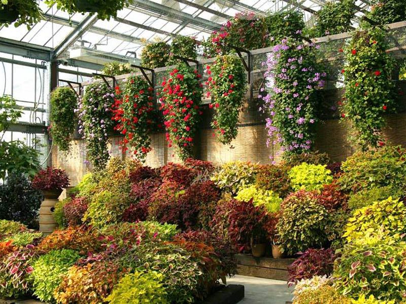 �߲ˈ@ˇ���^�c���鿴Ԕ����Ϣ