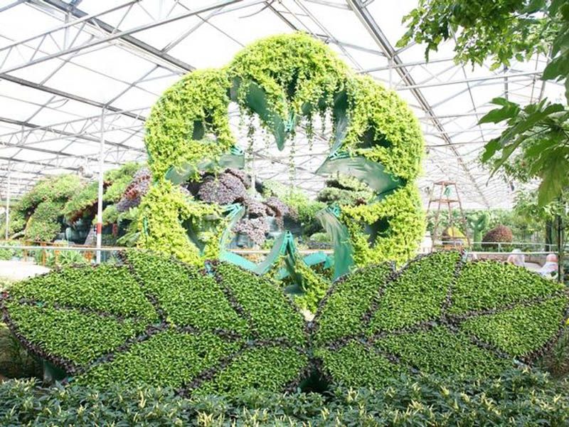 �߲ˈ@ˇ���^�c���鿴Ԕ����Ϣ