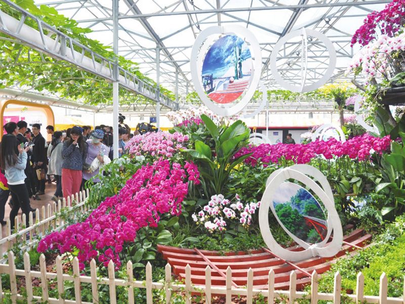 �߲ˈ@ˇ���^�c���鿴Ԕ����Ϣ