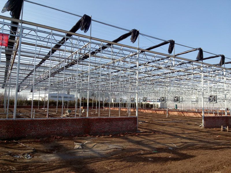 �|���\���߲˜��Ҵ���