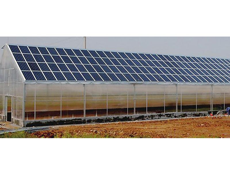 ����r�I�����c���鿴Ԕ����Ϣ