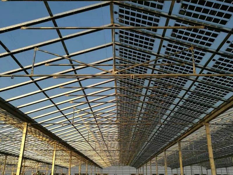 ���������c���鿴Ԕ����Ϣ