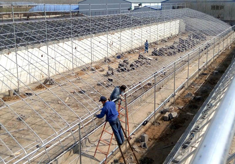 �չ�����c���鿴Ԕ����Ϣ