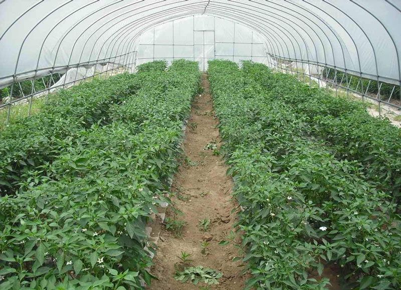 �r(n��ng)�I(y��)�����c���鿴Ԕ����Ϣ