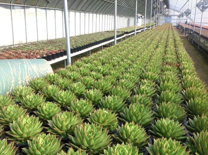 ����ֲ������c���鿴Ԕ����Ϣ