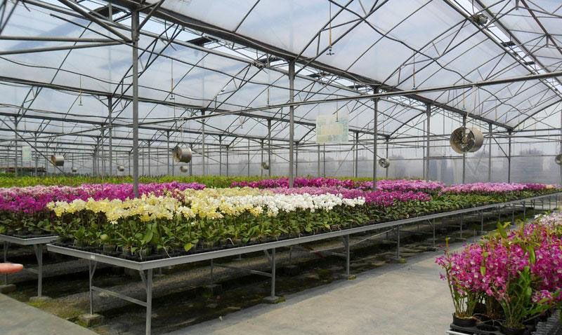 ���ܻ��ܜ����c���鿴Ԕ����Ϣ