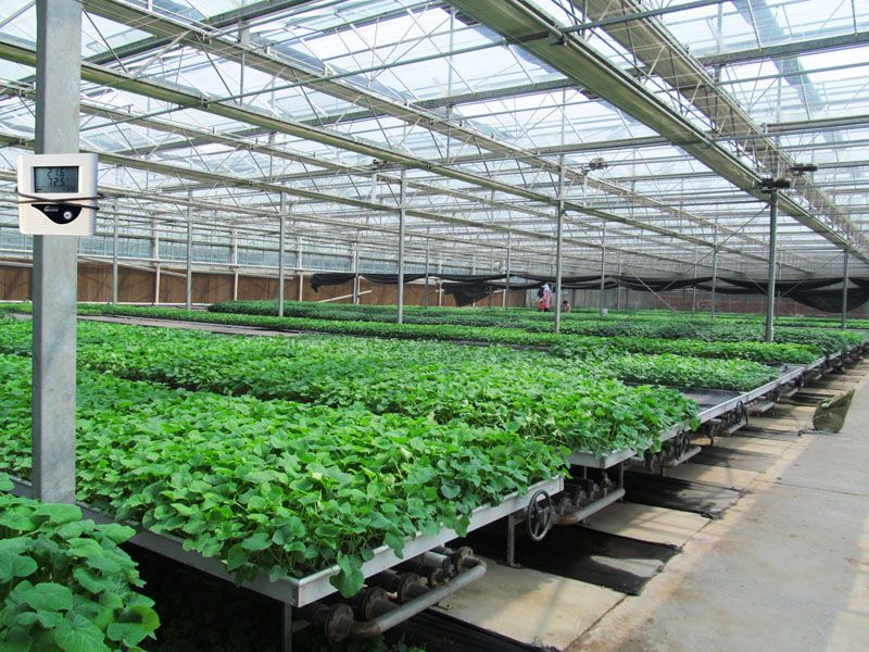 ������������c���鿴Ԕ����Ϣ