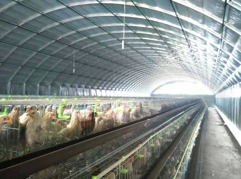 �B(y��ng)ֳ�����c(di��n)���鿴Ԕ��(x��)��Ϣ