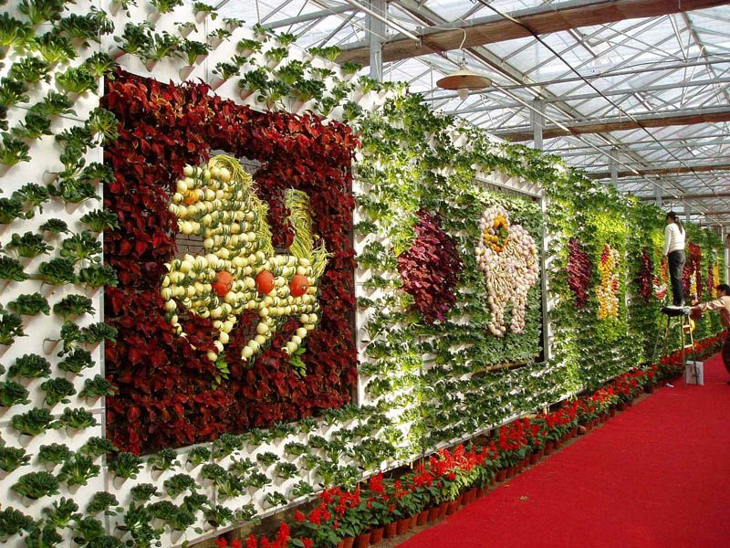 �߲ˈ@�־��^�c���鿴Ԕ����Ϣ