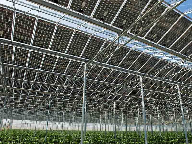 ���������c���鿴Ԕ����Ϣ