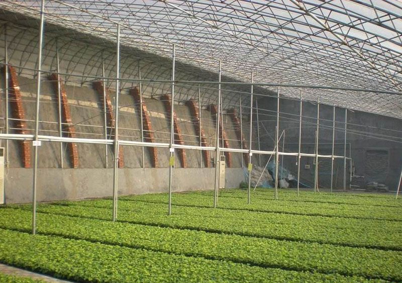 �չ�����c���鿴Ԕ����Ϣ