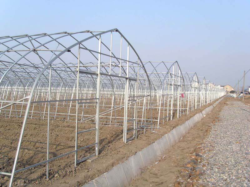 �r�I�����c���鿴Ԕ����Ϣ