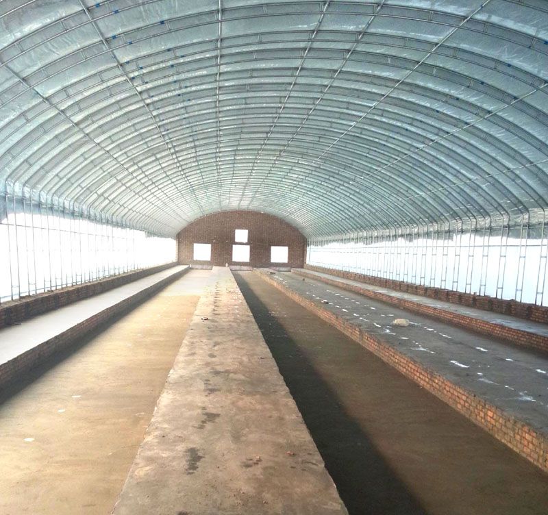 �B(y��ng)ֳ�����c(di��n)���鿴Ԕ��(x��)��Ϣ