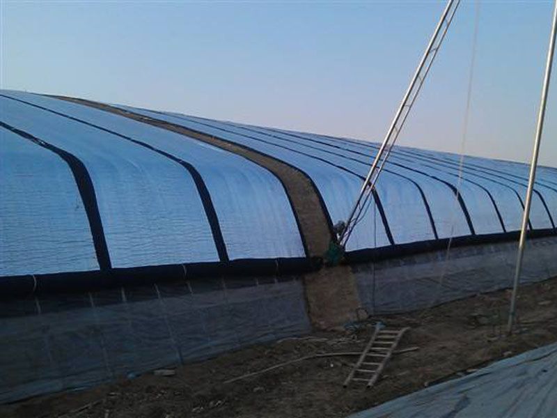 �չ�����c���鿴Ԕ����Ϣ