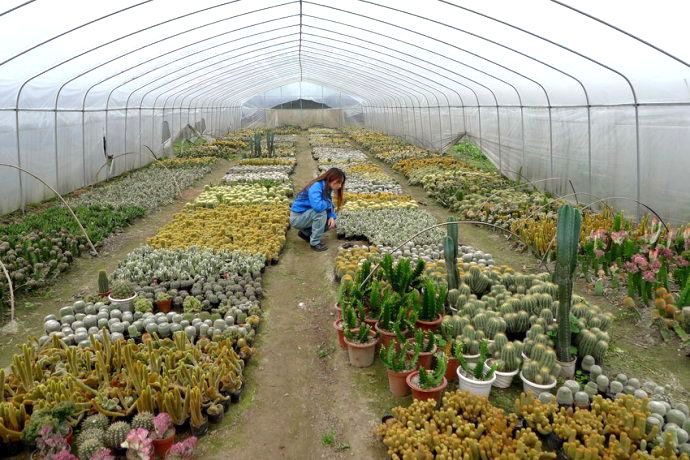 �r�I�����c���鿴Ԕ����Ϣ