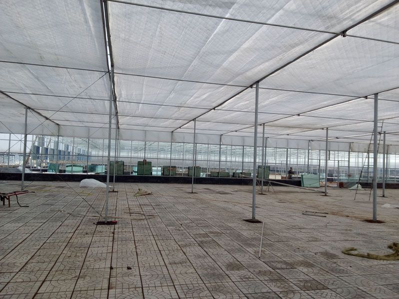 ��������c���鿴Ԕ����Ϣ