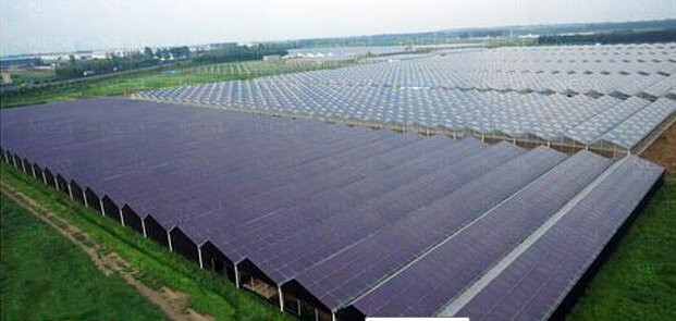 �r�I�����c���鿴Ԕ����Ϣ