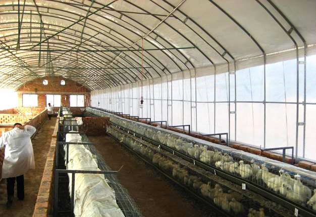 �B(y��ng)ֳ�����c(di��n)���鿴Ԕ��(x��)��Ϣ