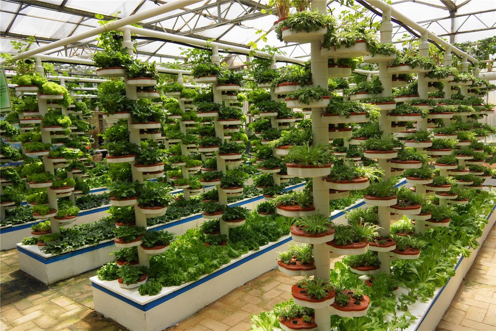 �߲ˈ@ˇ���^�c���鿴Ԕ����Ϣ