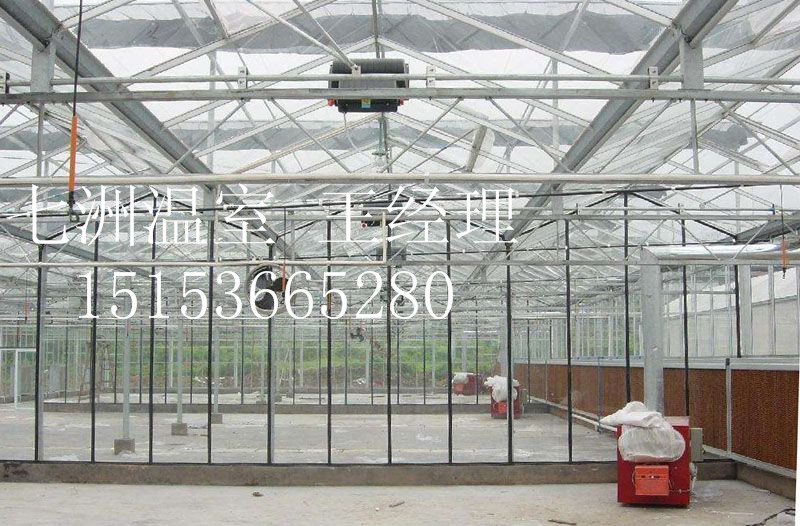 �������S���а���չʾ