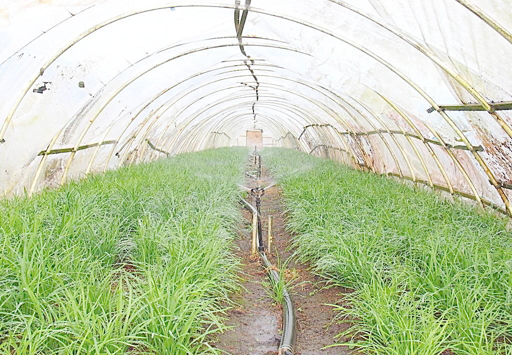 �r�I�����c���鿴Ԕ����Ϣ