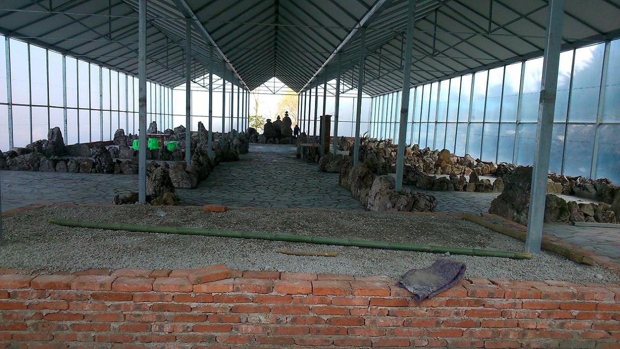 �B(y��ng)ֳ�����c(di��n)���鿴Ԕ��(x��)��Ϣ