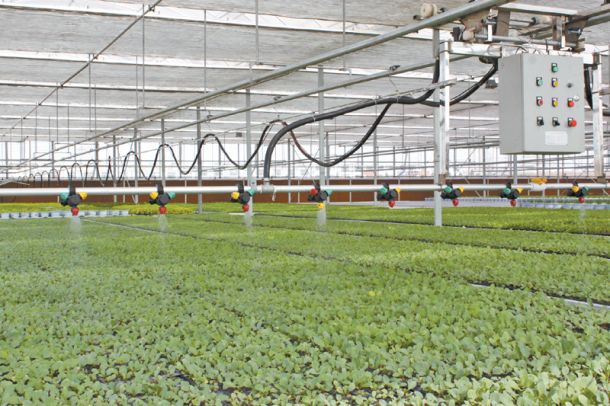 ���ܻ������c���鿴Ԕ����Ϣ