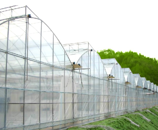 �����B�������c���鿴Ԕ����Ϣ