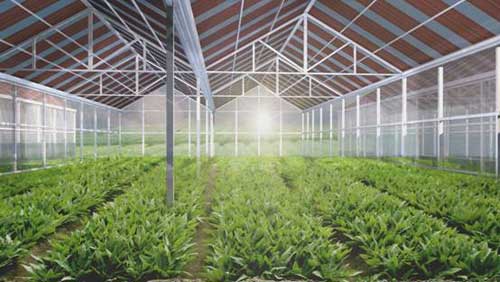 ����r�I�����c���鿴Ԕ����Ϣ