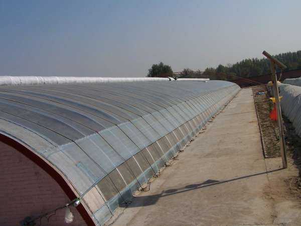 �չ�����c���鿴Ԕ����Ϣ