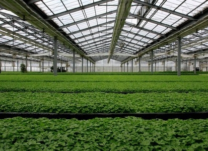 �r�I�����c���鿴Ԕ����Ϣ