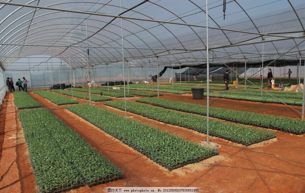 �r�I�����c���鿴Ԕ����Ϣ