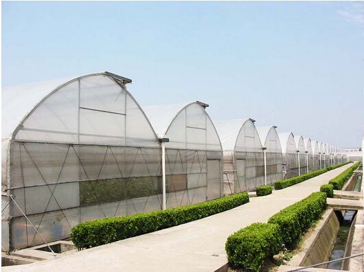 �����B�������c���鿴Ԕ����Ϣ