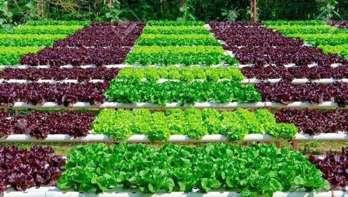 �߲ˈ@ˇ���^�c���鿴Ԕ����Ϣ