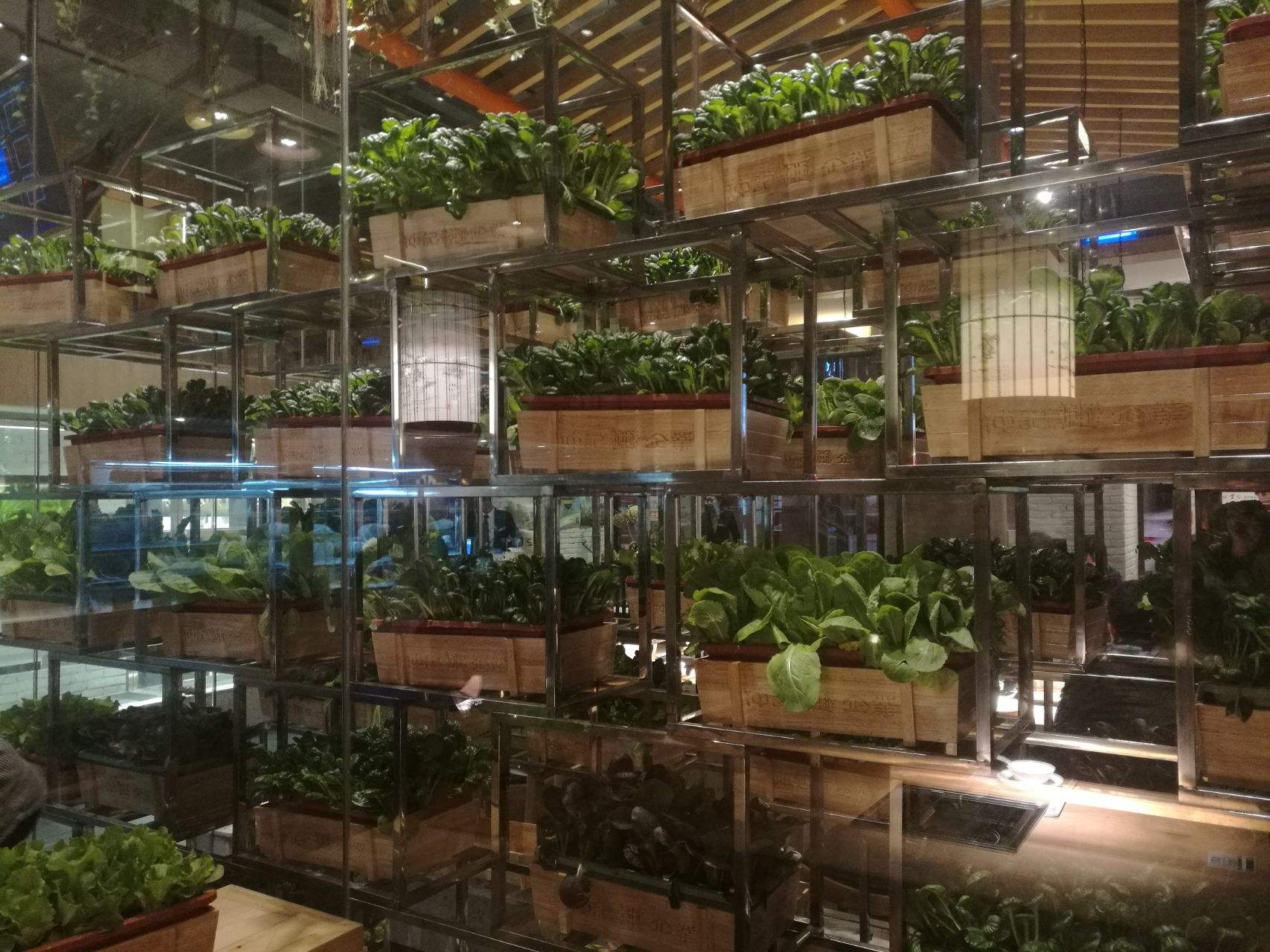 ���B�͏d�c���鿴Ԕ����Ϣ