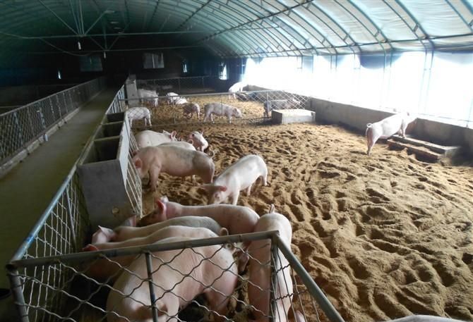 �Bֳ�����c���鿴Ԕ����Ϣ