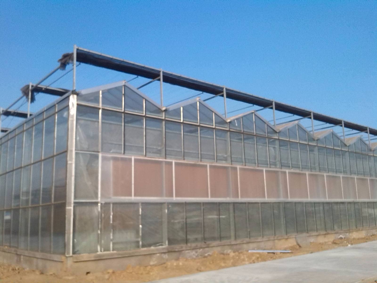 ���������c���鿴Ԕ����Ϣ