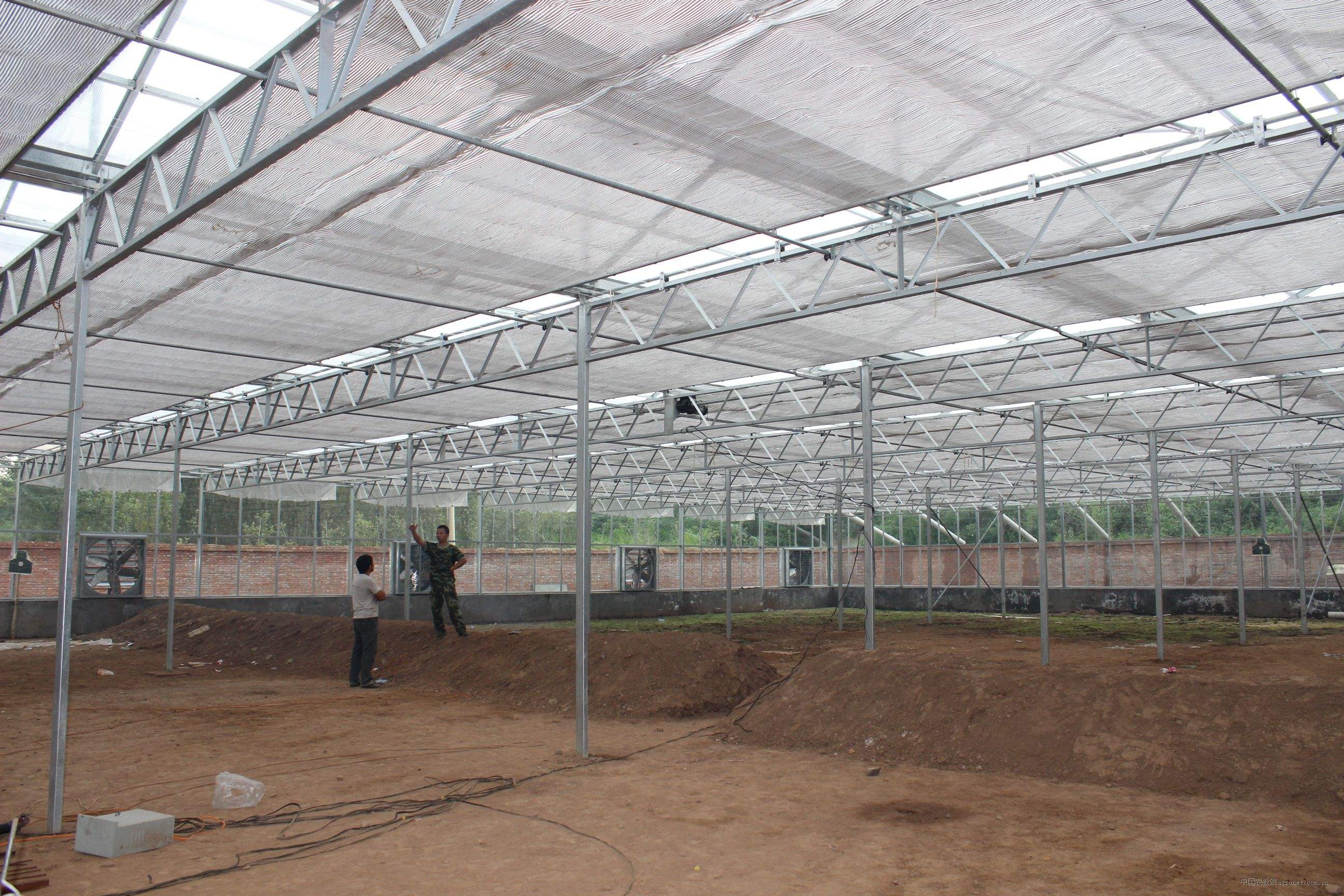 ��������c���鿴Ԕ����Ϣ