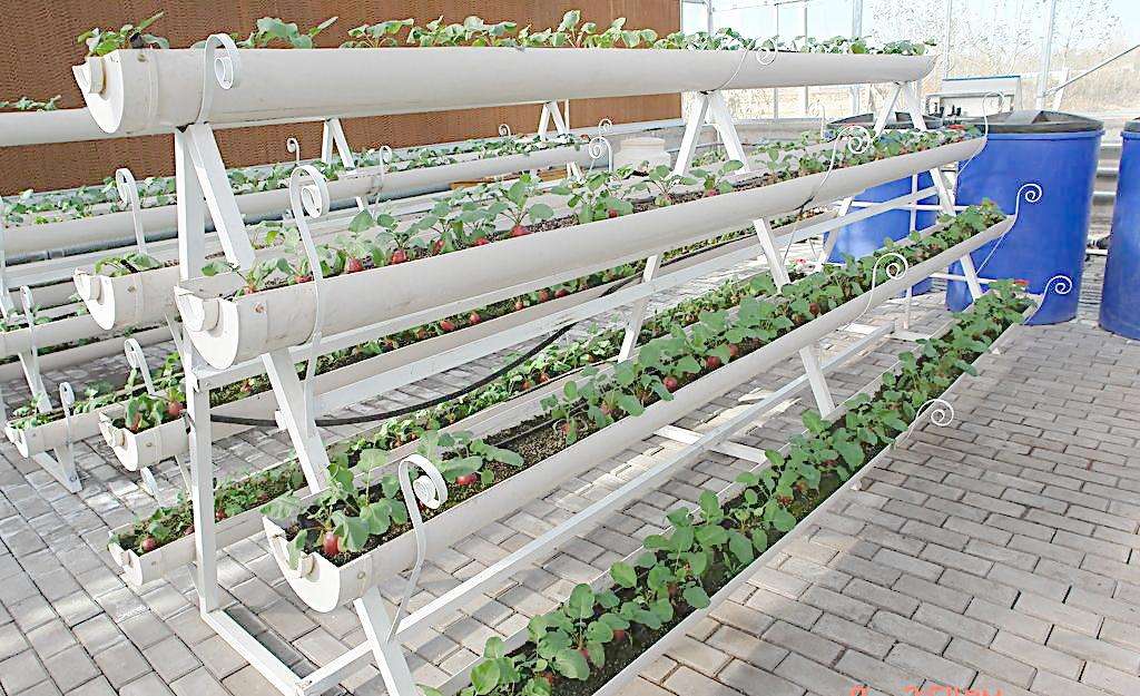 ���ܻ������c���鿴Ԕ����Ϣ