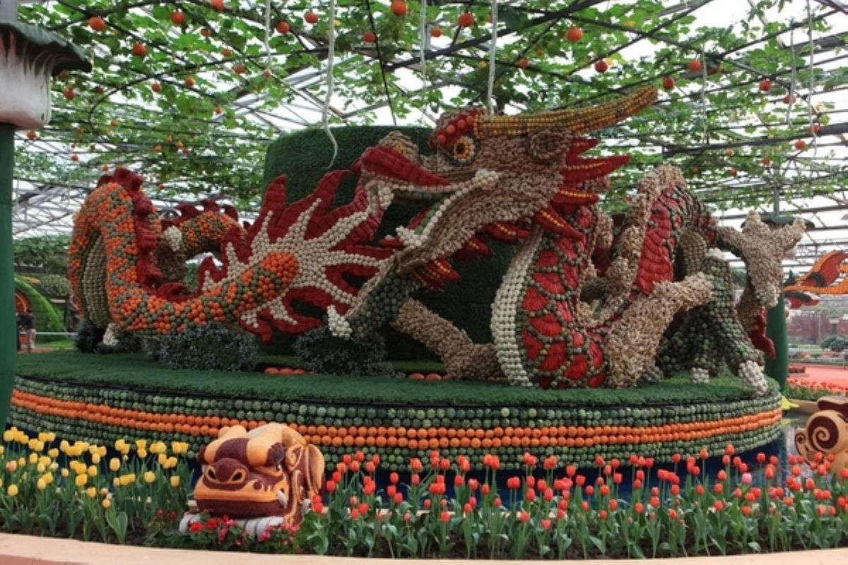 �߲ˈ@ˇ���^�c���鿴Ԕ����Ϣ